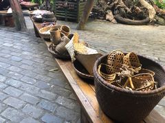 -呀诺达热带雨林