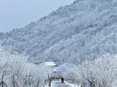 -浙西天池景区