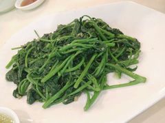 android_upload_pic-新兴家喻酒家·羊城名宴(昌岗店)