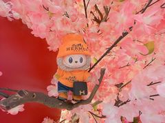 -新城市广场