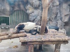 -北京海洋馆