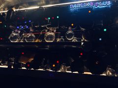 -Darling Queen·Mini·Live·House