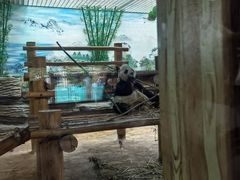 -西霞口神雕山野生动物世界