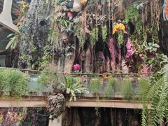-正佳雨林生态植物园