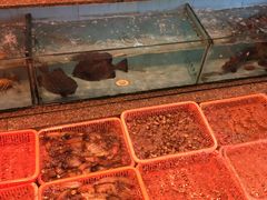 -光兴海鲜排档·小炒(莱利园店)