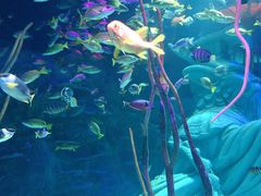 -沈阳海洋探索中心