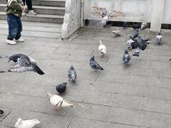-六祖寺