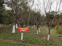 -长田漾湿地公园