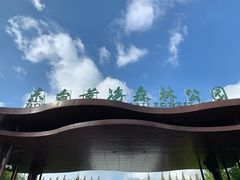 -黄海国家森林公园