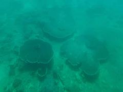 -亚龙湾海底世界