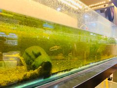 -十八字金·银饰·开蚌DIY·手工体验团建(世纪金源店)