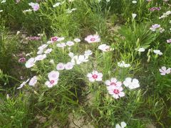 -瀛海足球主题公园