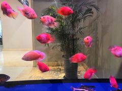 -上海中兴和泰酒店(张江高科地铁站店)