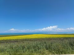 -青海湖国家重点风景名胜区