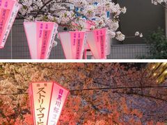 -成都濑川外国语学校