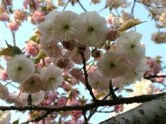 -新江湾城公园