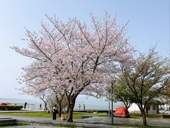 -蠡湖大桥公园