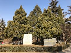 -百脉泉景区