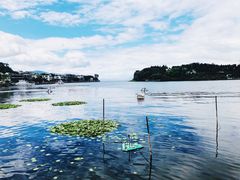 -大理洱海
