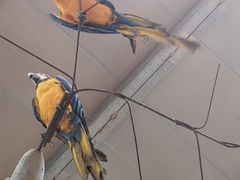 -泉城欧乐堡海洋极地世界