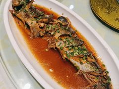 -老山东·山东菜(鲁菜名店)