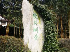 -十八棵（老龙井）御茶园(老龙井店)