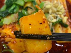-普集烧鸡(新店)