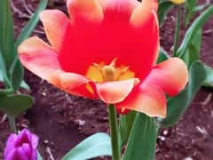 -长春公园(普阳街道)