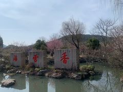 -香雪海