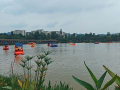 -枫香湖儿童公园