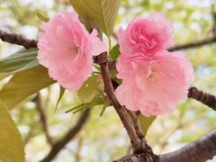 -西北湖绿化广场