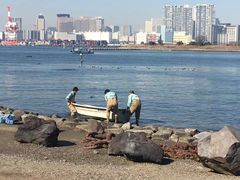 -台场海滨公园船码头