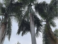 -广州市白云山风景名胜区