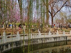 -桃花堤公园