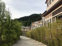 -秦岭天竺山景区