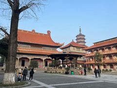 -高旻寺