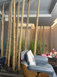 -毛毛虫儿童摄影馆