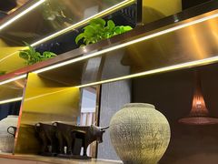-云海肴云南菜·蒸汽石锅鱼(青岛万象城店)