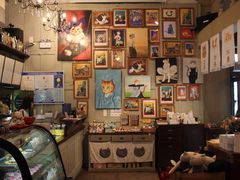 -猫咪博物馆(顶澳仔猫街店)