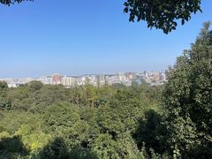 -潜山国家森林公园