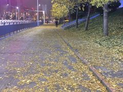 -百林公园-两江幸福广场