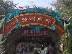 -瑞丽独树成林风景区