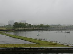 -白塘生态植物园