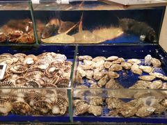 -高佳庄·舟山海鲜(海景旗舰店)