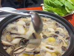 -菌之家·专业纯野生菌火锅·特色炒菌