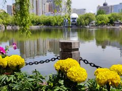 -文瀛公园