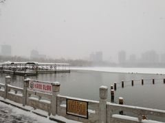 -莲花池公园