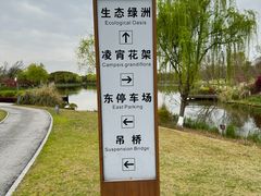 -九科绿洲