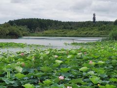 -长春市南湖公园