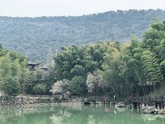 -宝岩生态观光园